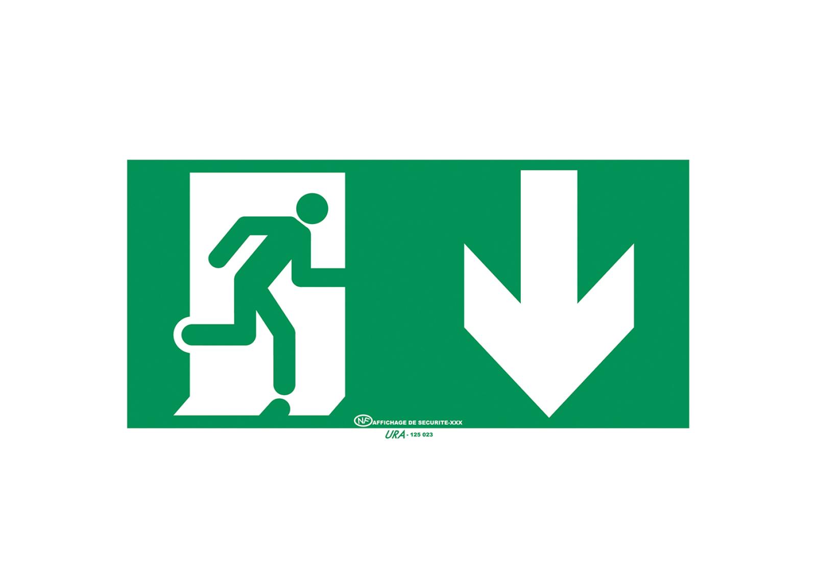 Pictogramme autocollant pour signalisation Évacuation avec symbole flèche vers le bas