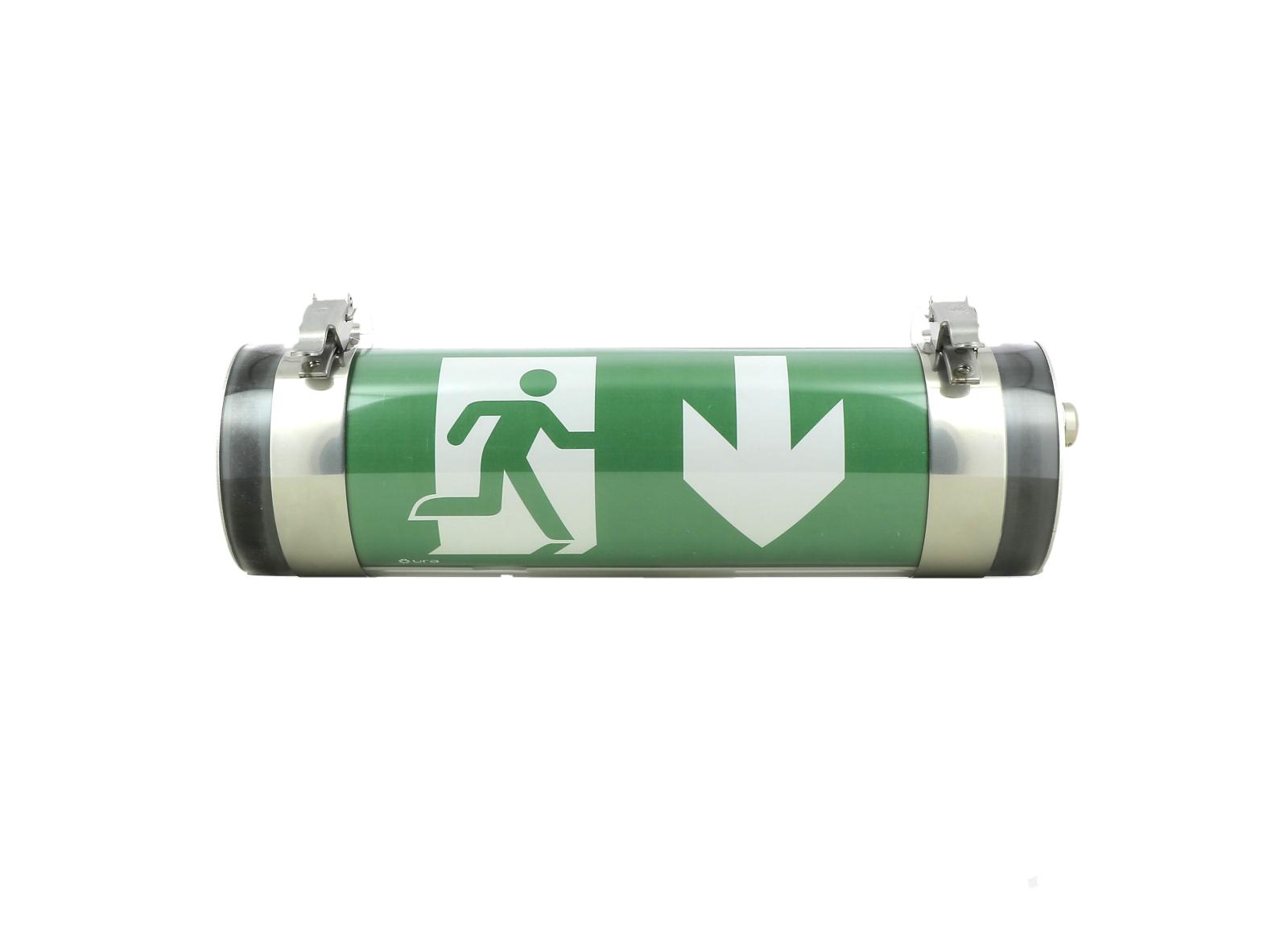 Luminaire pour Sources Centrales LSC d'évacuation Plastinox 100lm 48VDC-220VDC-230VAC IP68-69-IK10