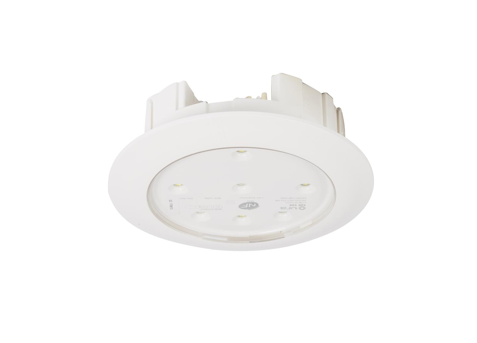 Luminaire pour Sources Centrales LSC d'ambiance 110V=/220V=/230V~ Practice IP40 IK07 flux 320lm