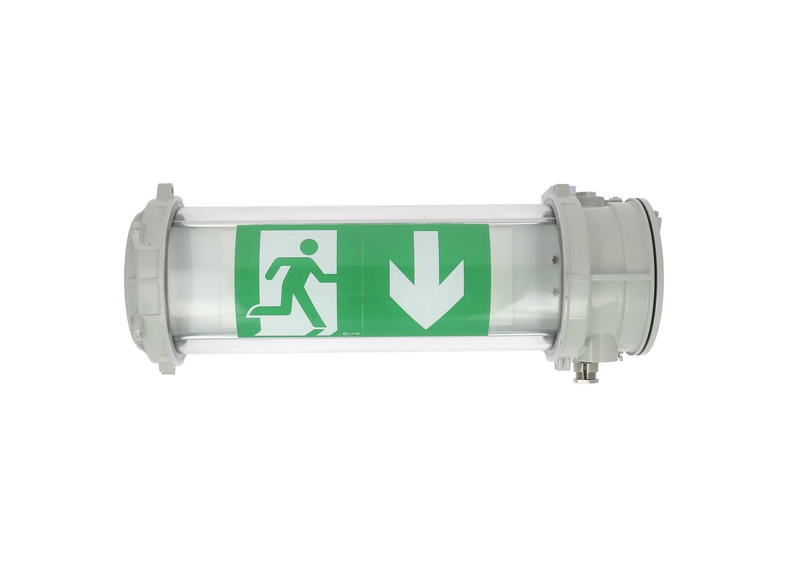 BAES Évacuation ATEX 100lm-1h SATI Connecté - Adressable IP67-IK07