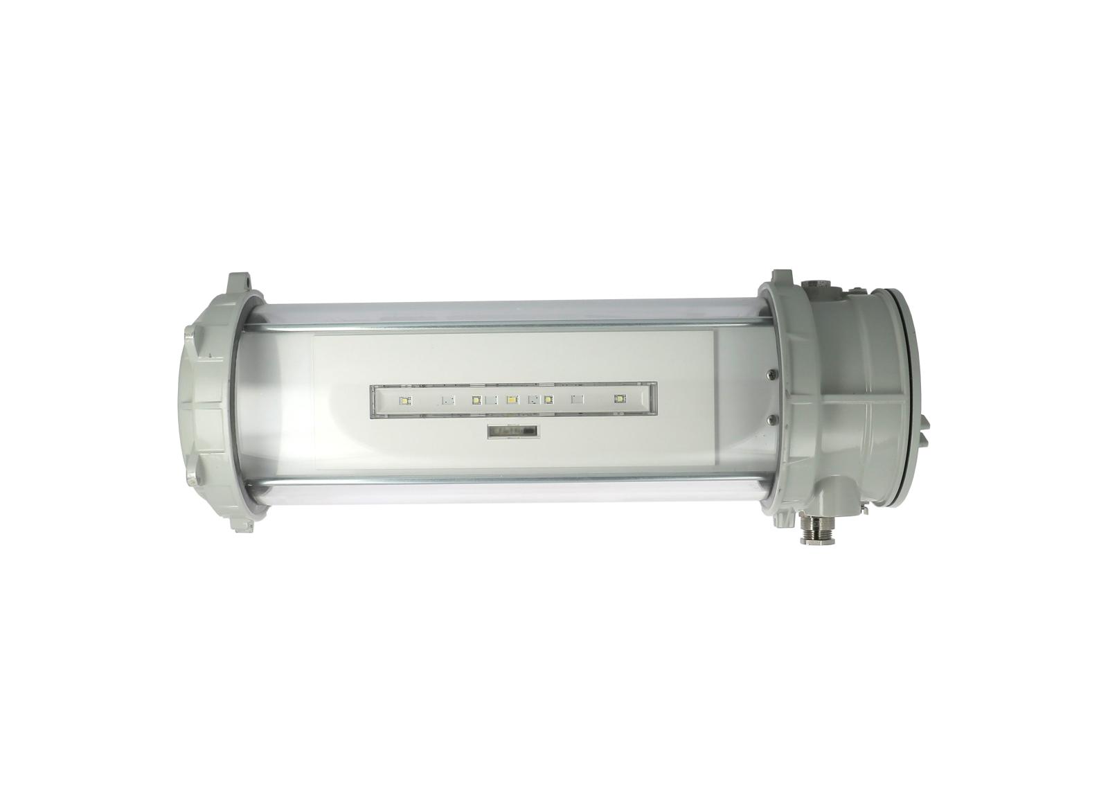 BAES Ambiance ATEX 450lm-1h SATI Connecté Adressable IP67-IK07
