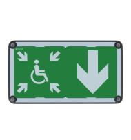 BAES+DBR Uraproof V SATI Connecté Adressable 45lm-120lm/1h IP66 IK10